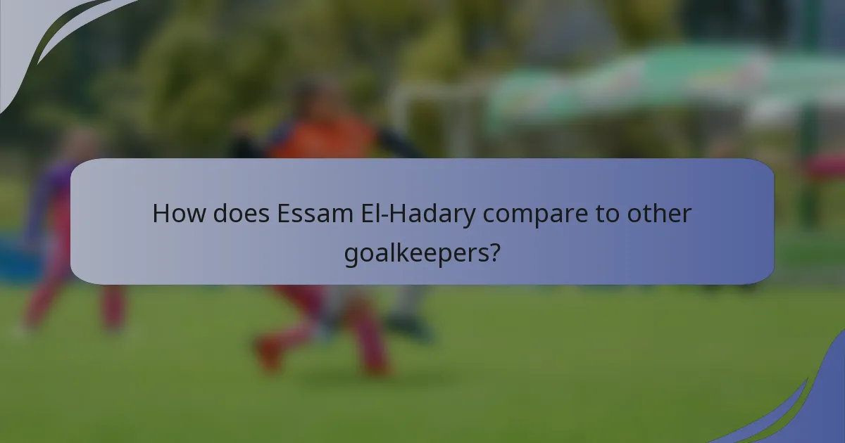 How does Essam El-Hadary compare to other goalkeepers?